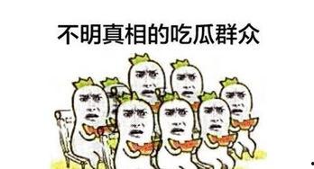 一个很认真的吃瓜群众怎么形容,吃瓜群众视角下的明星幕后故事
