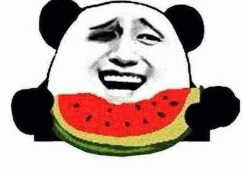 吃瓜群众哈哈哥搞笑视频