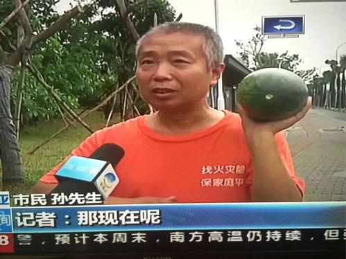 新仓区吃瓜群众事件,一场网络舆论的风暴与反思