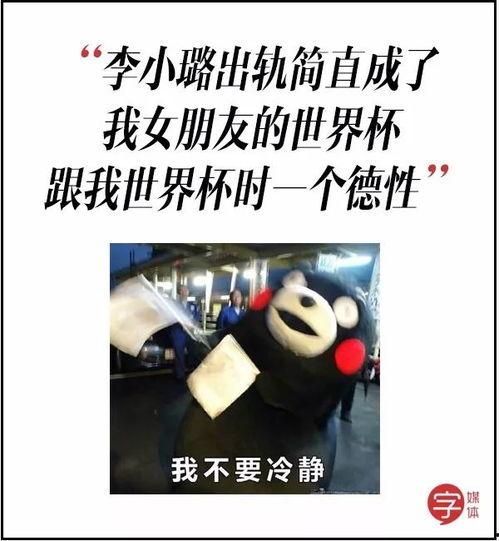 吃瓜群众的全部小说大全,穿越小说世界的奇幻之旅