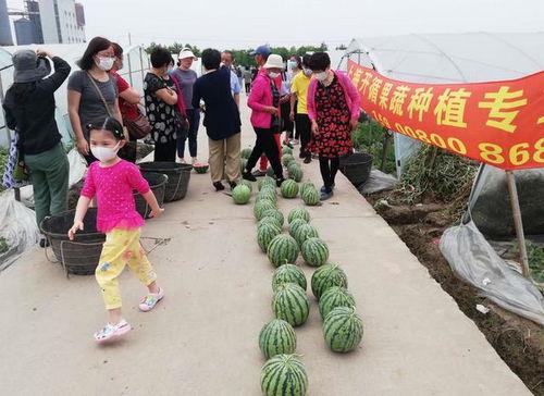 宁波海曙吃瓜群众事件最新,网络围观下的社会现象解析